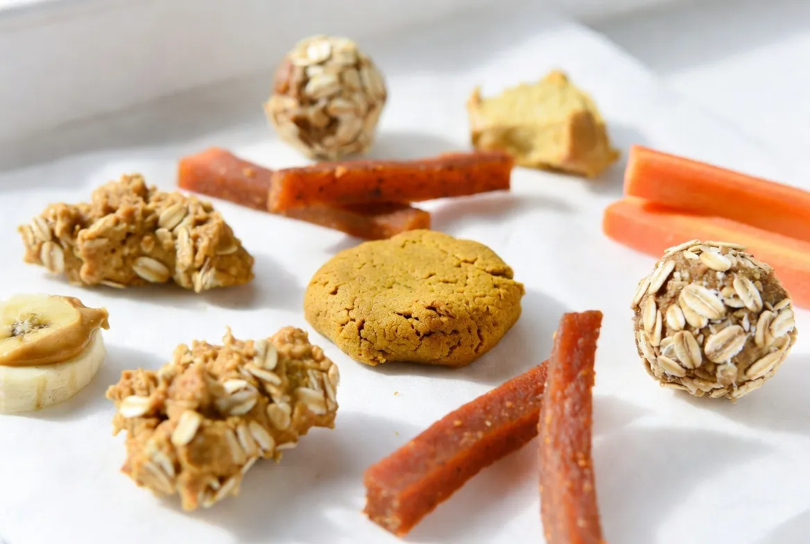 6 Healthy Dog Treats You Can Make in Under 20 Minutes