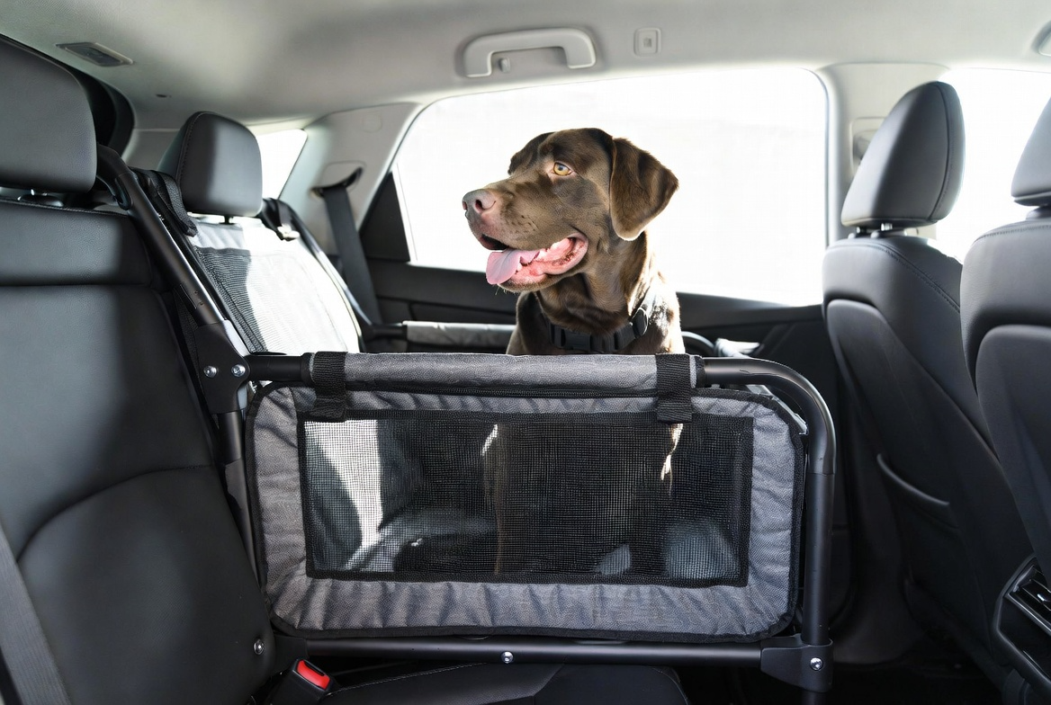 [Best Dog Booster Seat for Large Dogs for Travel and Safety