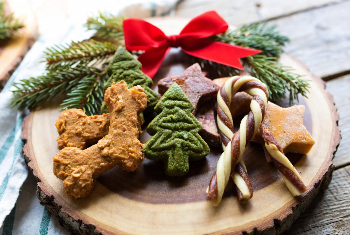 6 Christmas Dog Treat Recipes Gift Idea Inside
