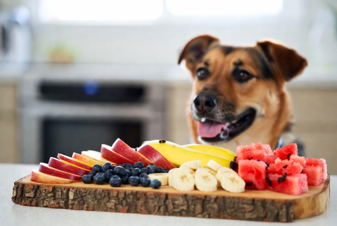 6 Dog-Friendly Fruit Recipes for a Sweet Snack at Home