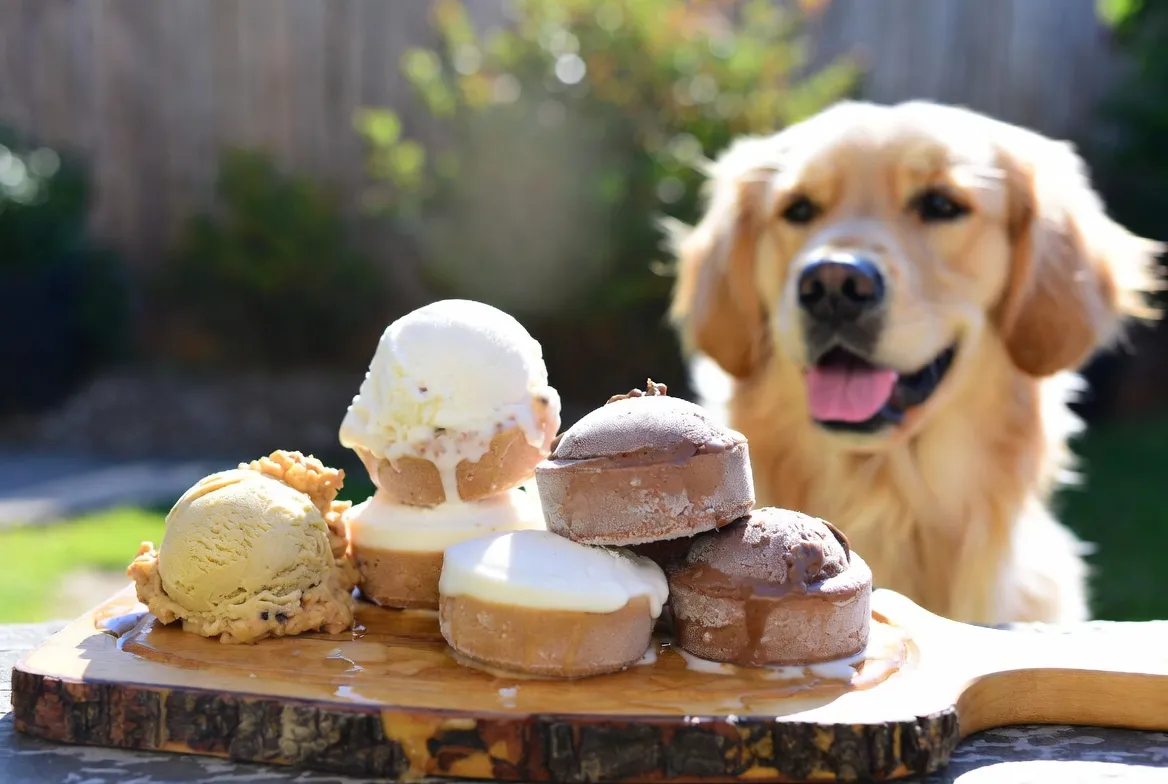 6 Dog Ice Cream Recipes Homemade Frosty Paws