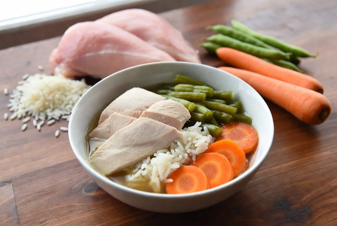 6 Kidney-Friendly Homemade Dog Food Recipes