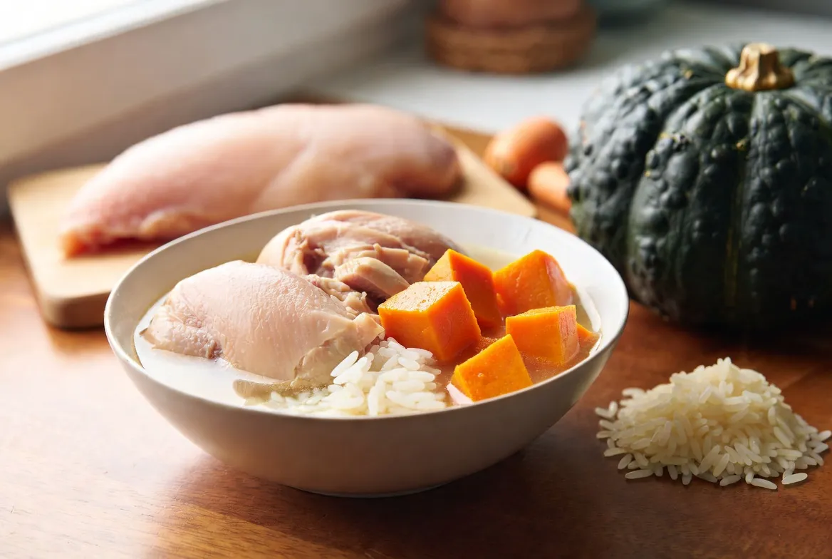 6 Sensitive Stomach Dog Food Recipes (Vet Approved)